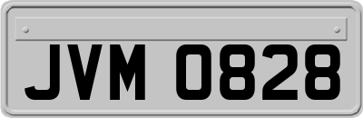 JVM0828