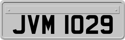 JVM1029