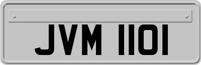 JVM1101