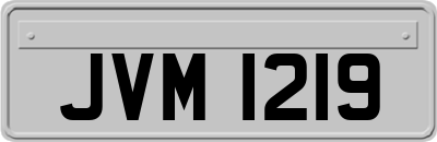 JVM1219