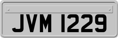 JVM1229