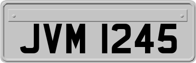 JVM1245