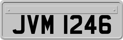 JVM1246