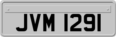JVM1291
