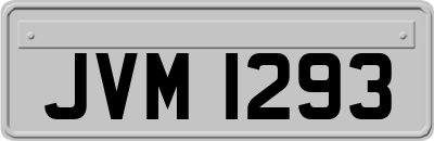 JVM1293