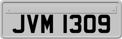 JVM1309
