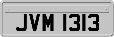 JVM1313