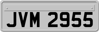 JVM2955
