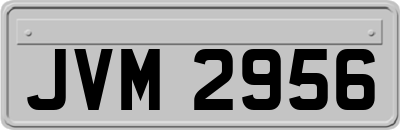 JVM2956