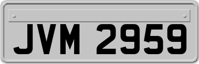 JVM2959