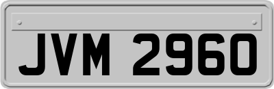 JVM2960