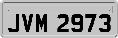 JVM2973