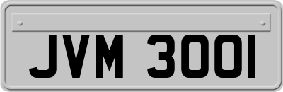 JVM3001