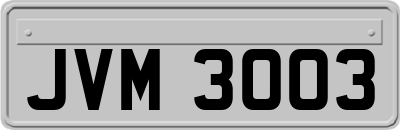 JVM3003