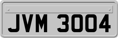 JVM3004