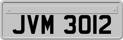 JVM3012