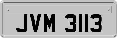 JVM3113