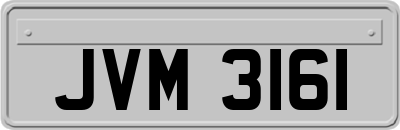 JVM3161