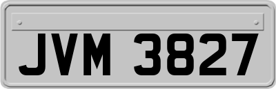 JVM3827