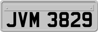 JVM3829