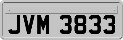 JVM3833