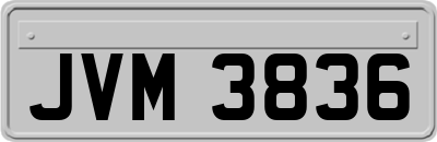 JVM3836