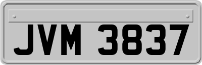 JVM3837