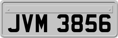 JVM3856