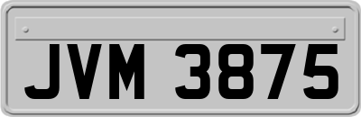 JVM3875