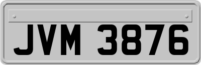 JVM3876