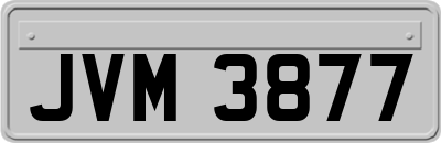 JVM3877