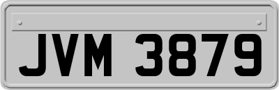 JVM3879