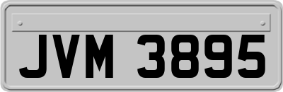 JVM3895