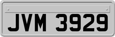 JVM3929