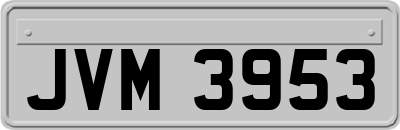 JVM3953