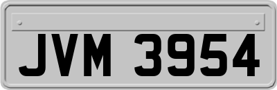 JVM3954