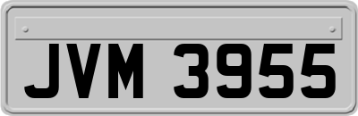 JVM3955