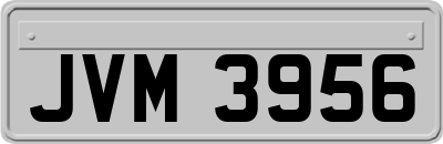 JVM3956