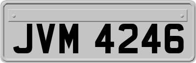 JVM4246
