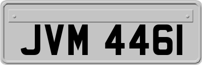JVM4461