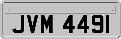 JVM4491