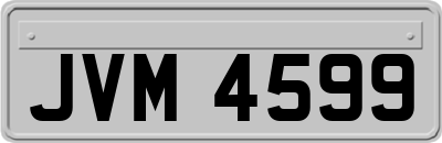 JVM4599