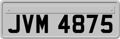 JVM4875