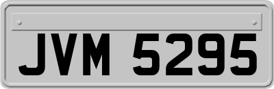 JVM5295