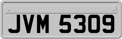 JVM5309