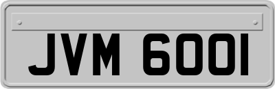 JVM6001