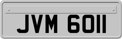 JVM6011