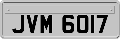 JVM6017