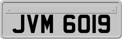 JVM6019