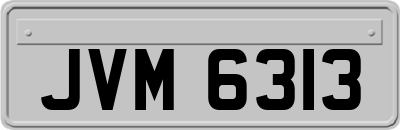 JVM6313